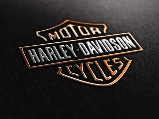 HARLEY 48 VS SPORTER S ?