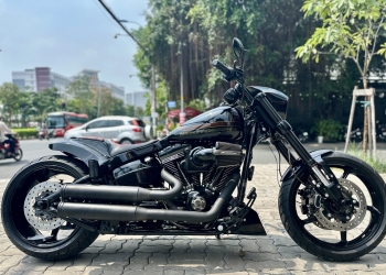 Harley Davidson Softail Standard Date 2021